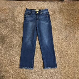 Democracy Ab Solution Distressed Ankle Straight Leg Women's Jeans Size 8